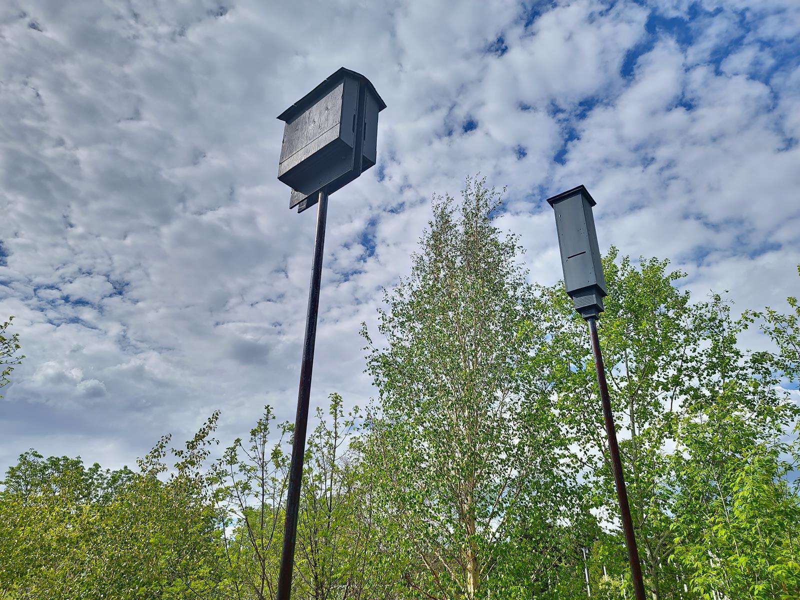 bat-houses-alberta-community-bat-program