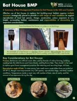 Bat house brochure thumbnail